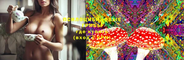 меф Богородицк
