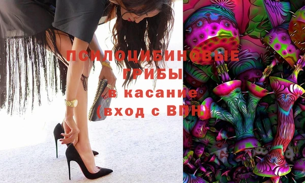 mix Богородск