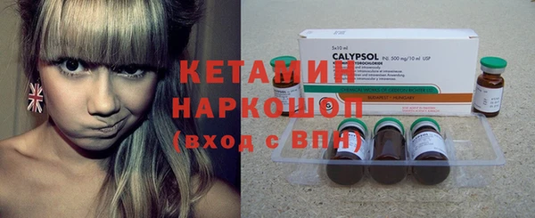 прущий лед Бородино